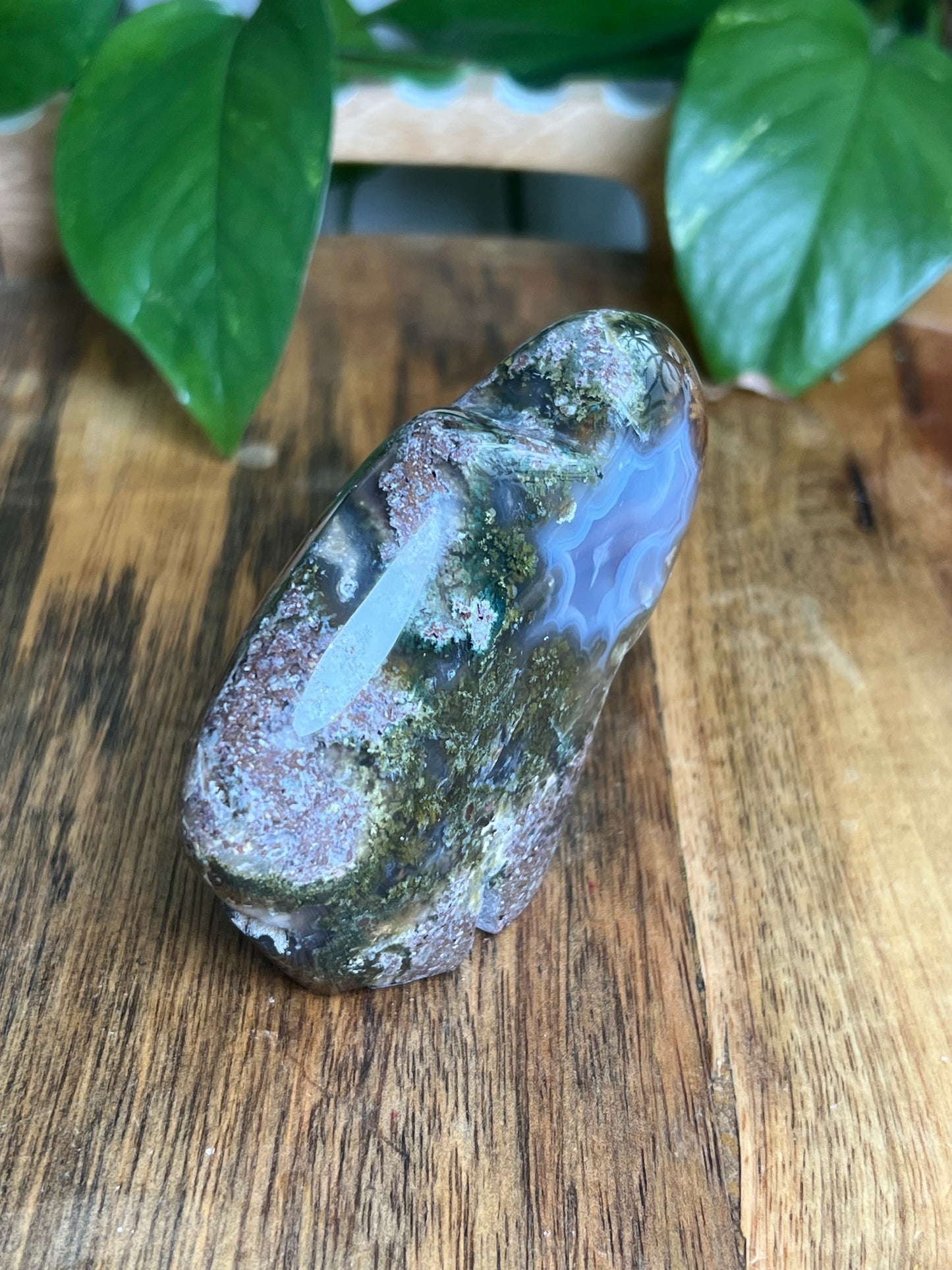 Scenic Moss Agate Buffalo NB