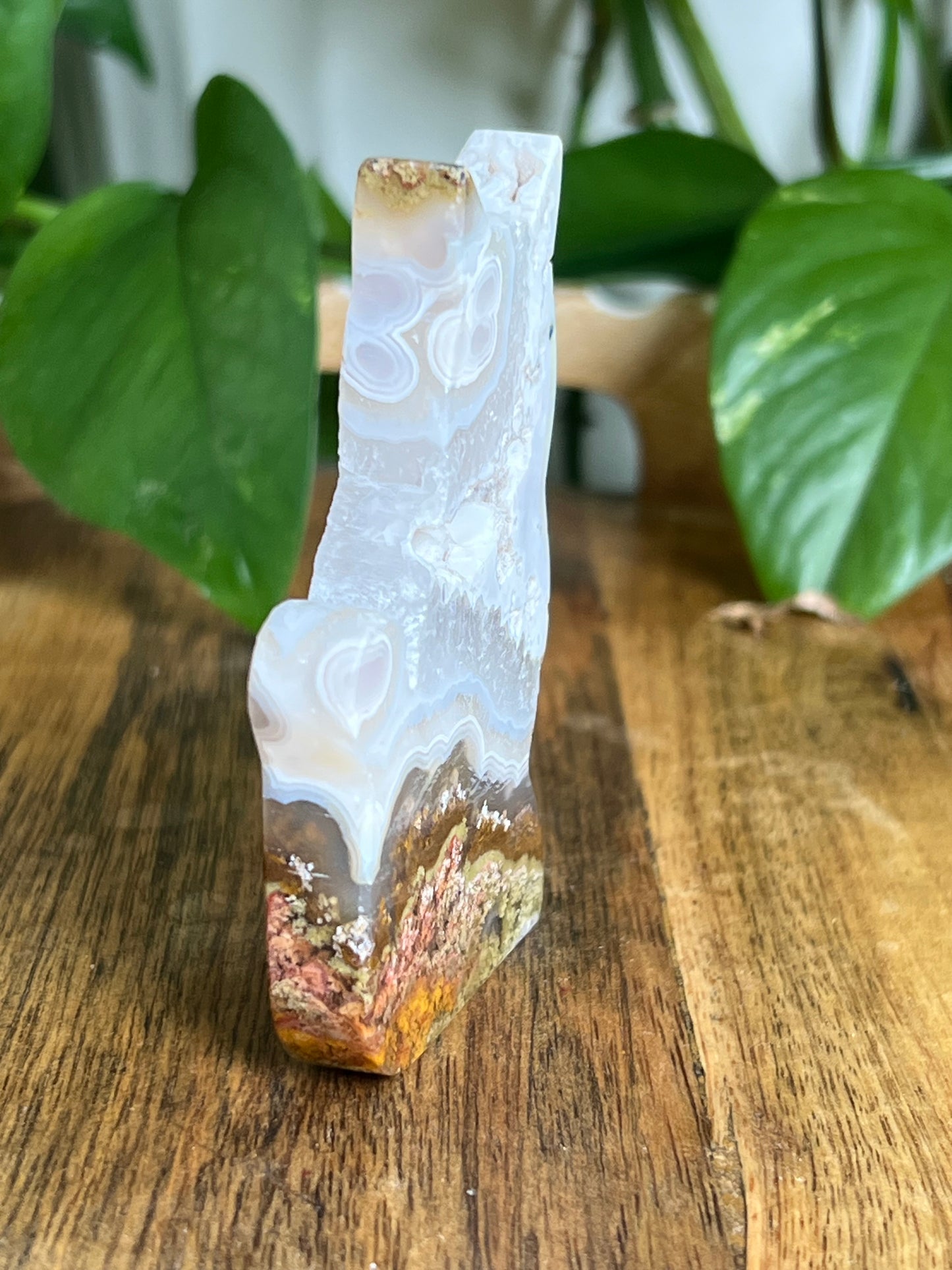 Scenic Moss Agate Cat HQ