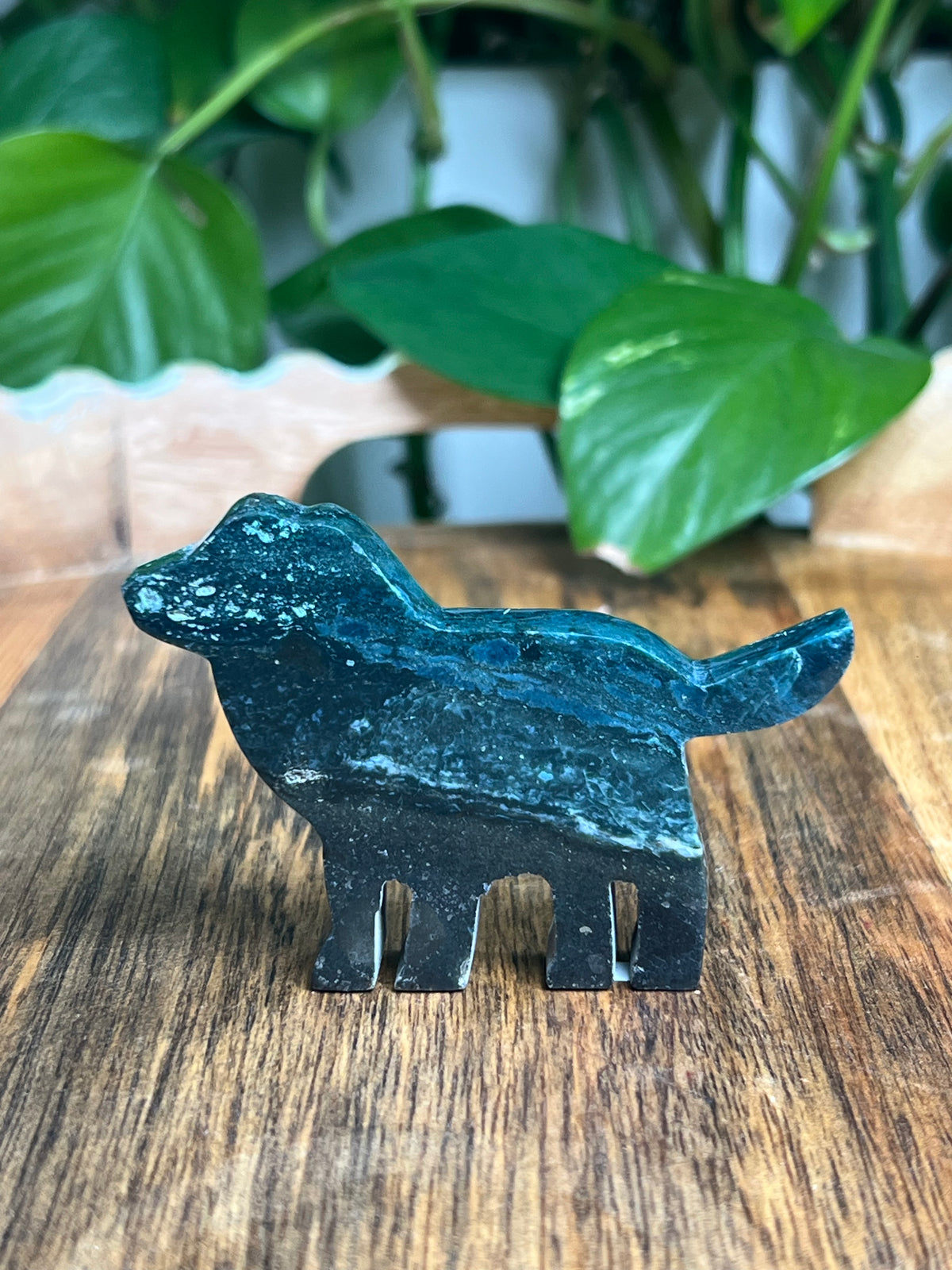 Blue Green Jasper Dog: BB