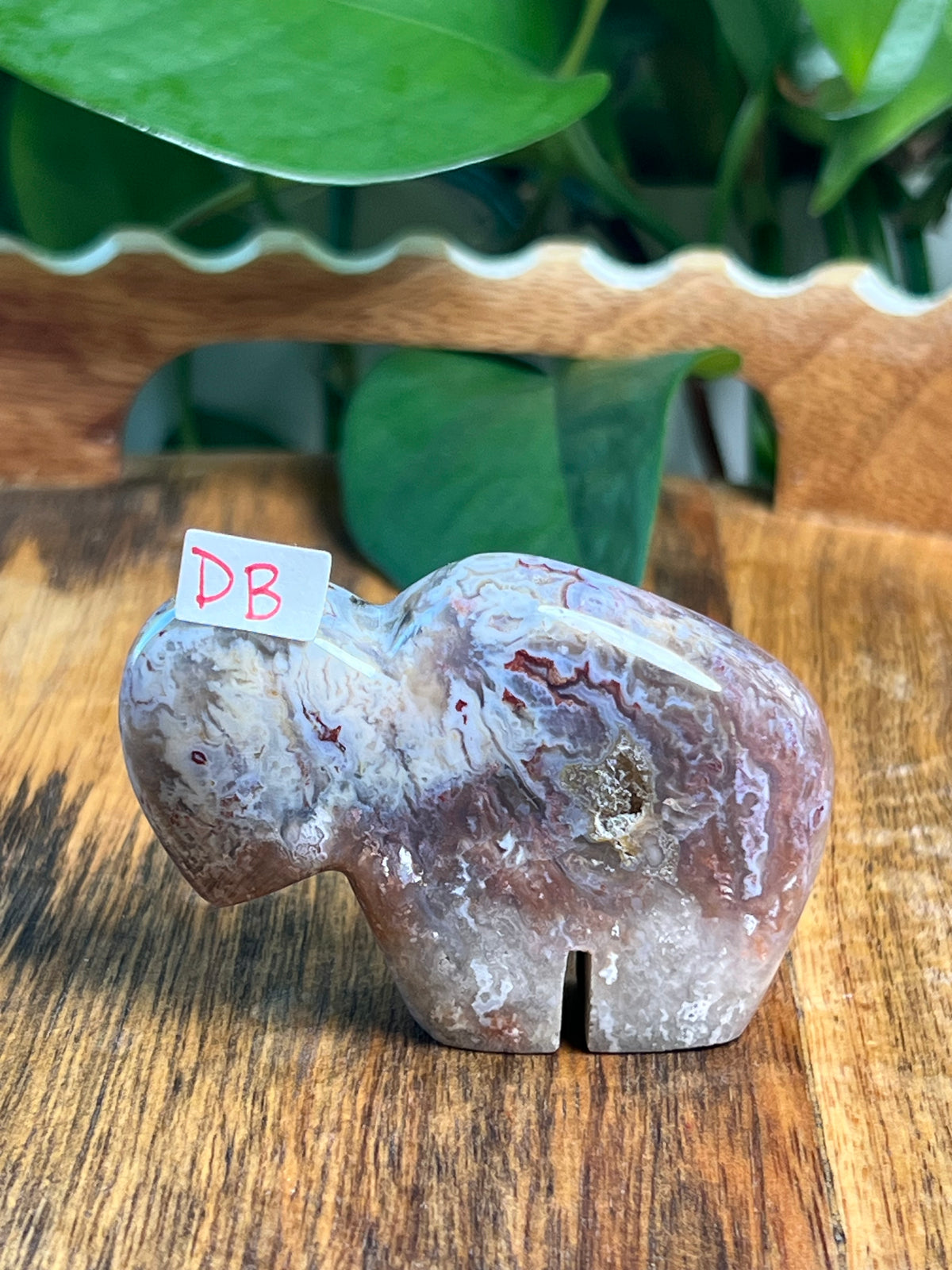 Sumatra Plume Agate Mini Buffalos