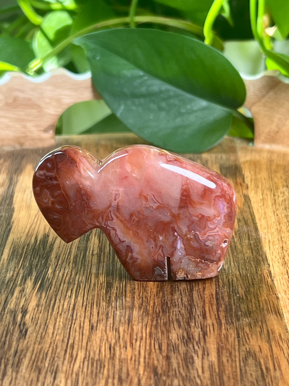 Carnelian Mini Buffalo: BB