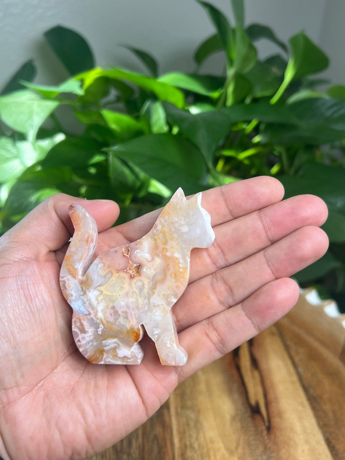 Carnelian Cat: PG