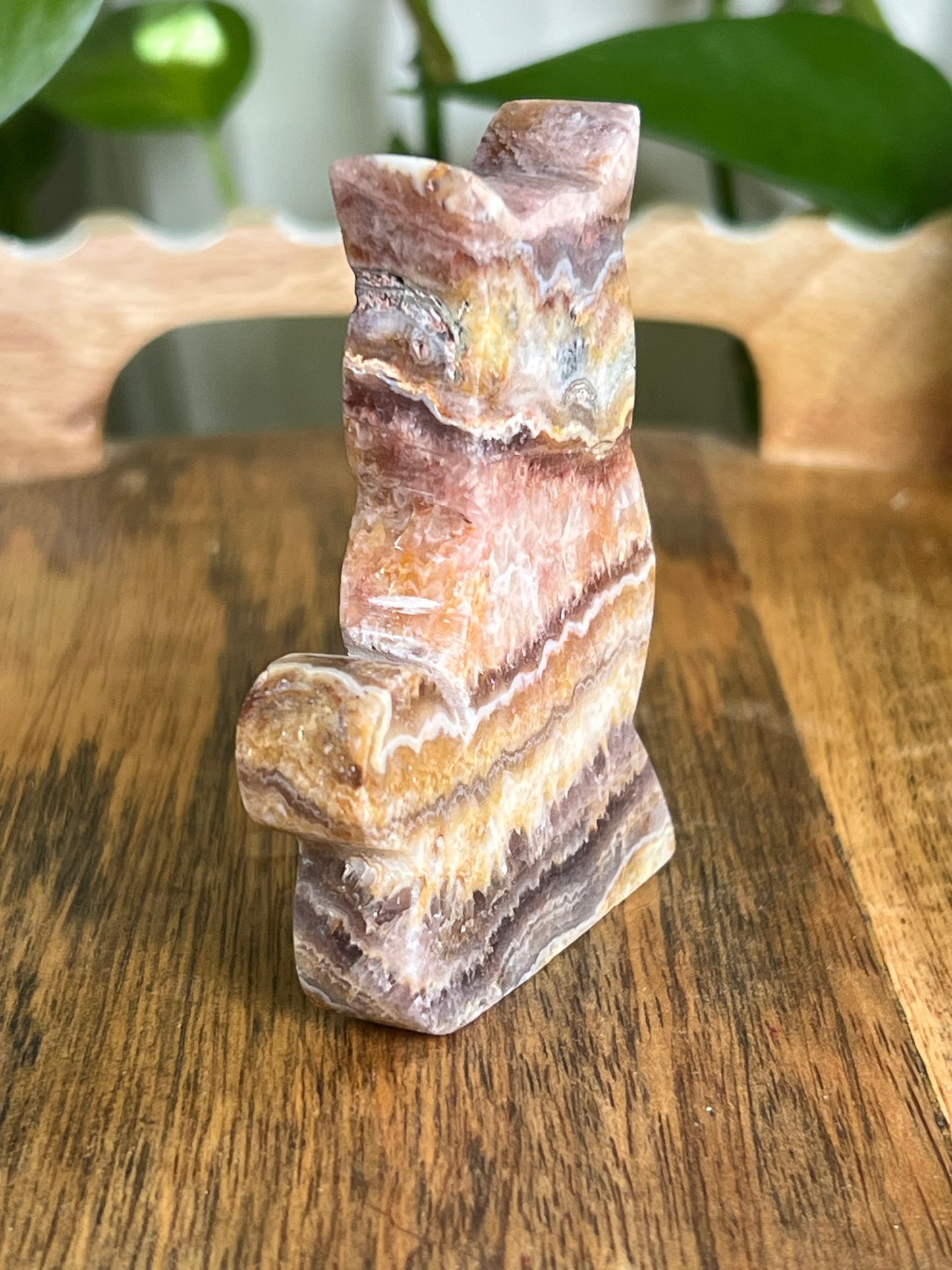 Indonesian Amethyst Cat CN