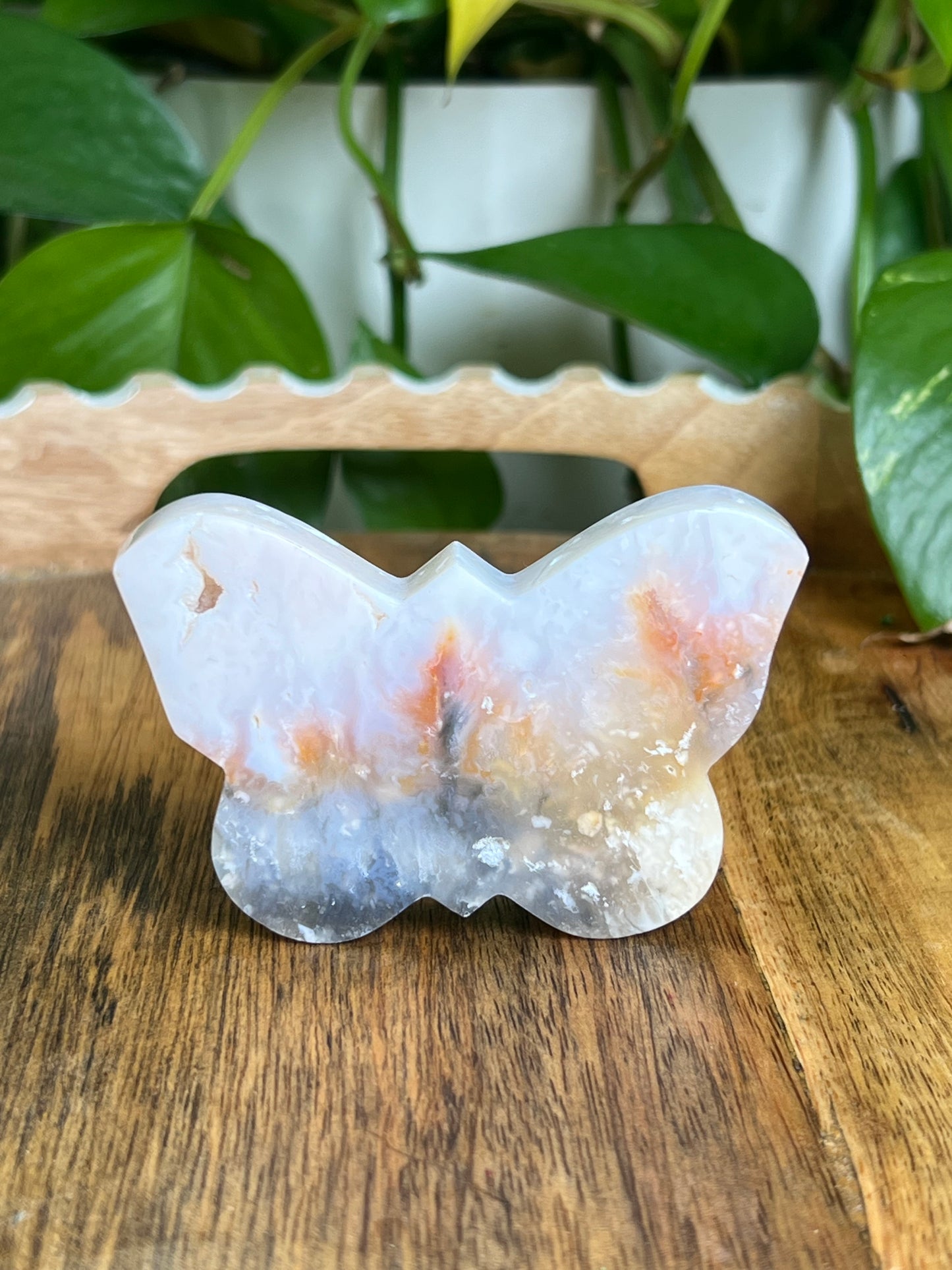 Rainbow Plume Agate Butterfly RC