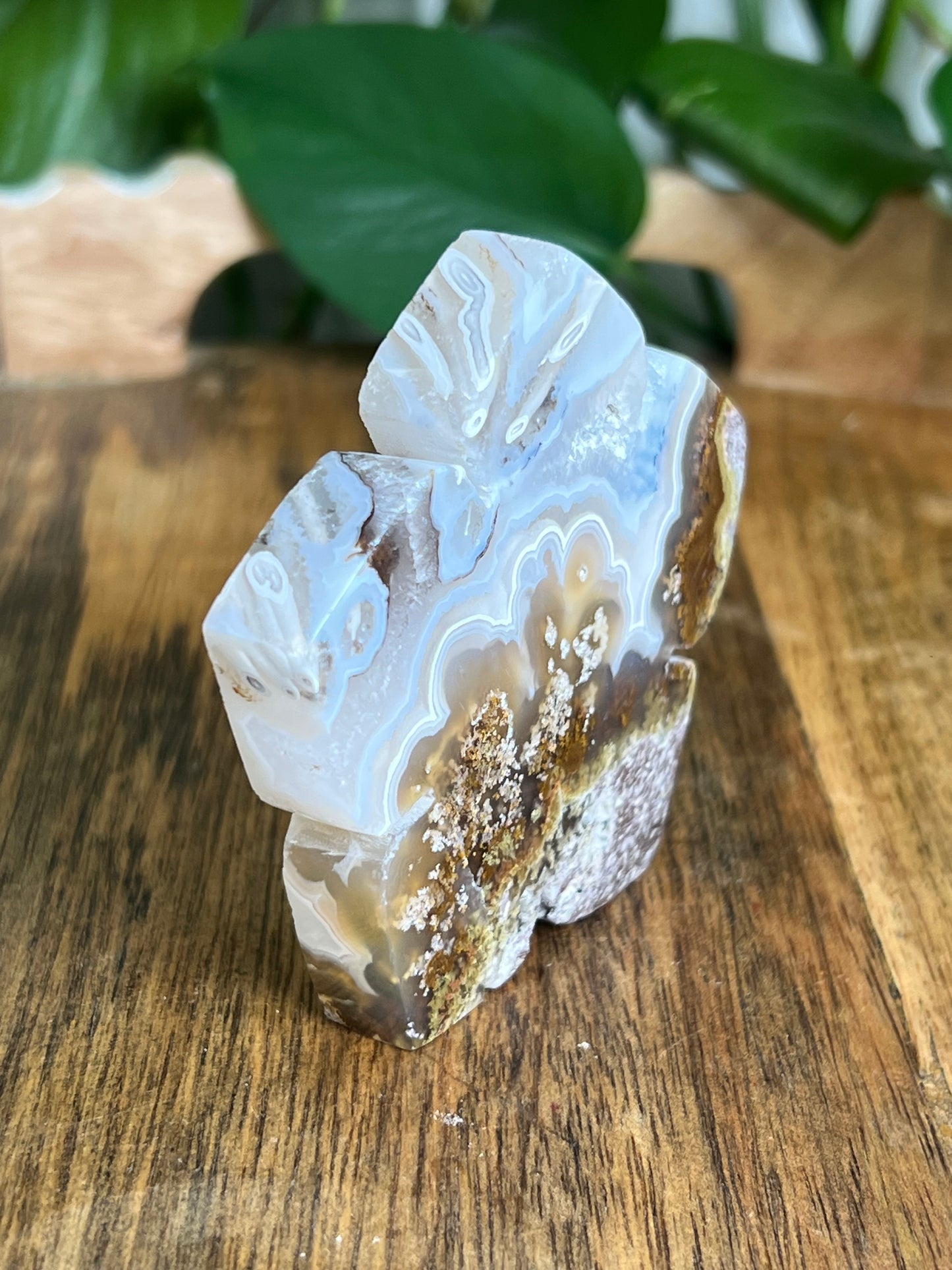 Scenic Moss Agate Flower PA