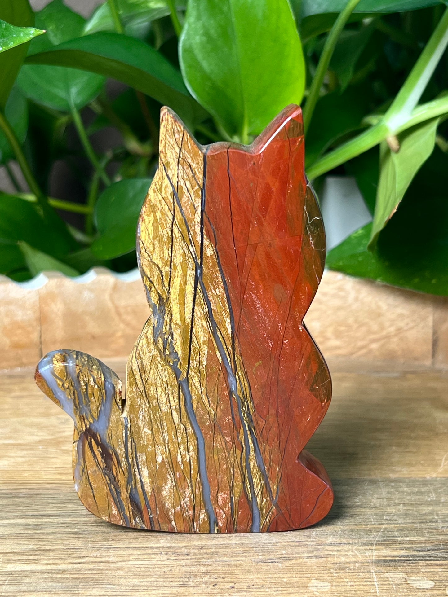 Mossy Red Jasper Cat