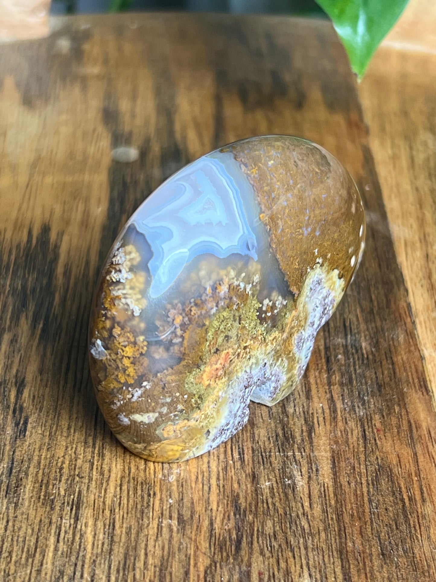 Scenic Moss Agate Bear BH