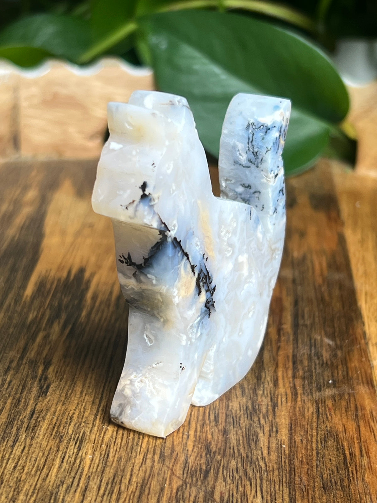Dendritic Tiger Agate Cat: PB