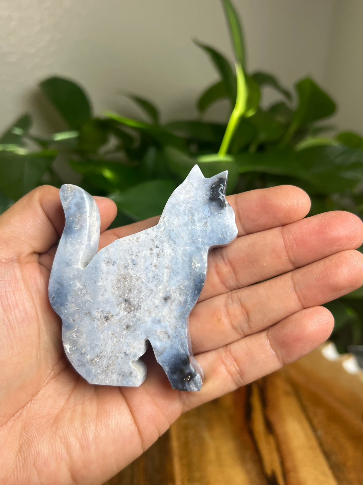 Blue Plume Agate Cat: AE