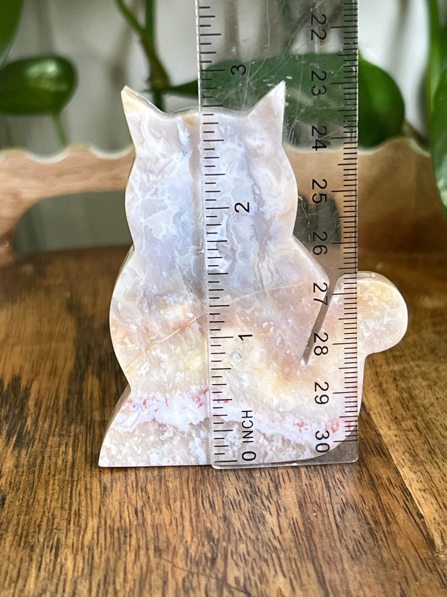 Sumatra Agate Cat EC