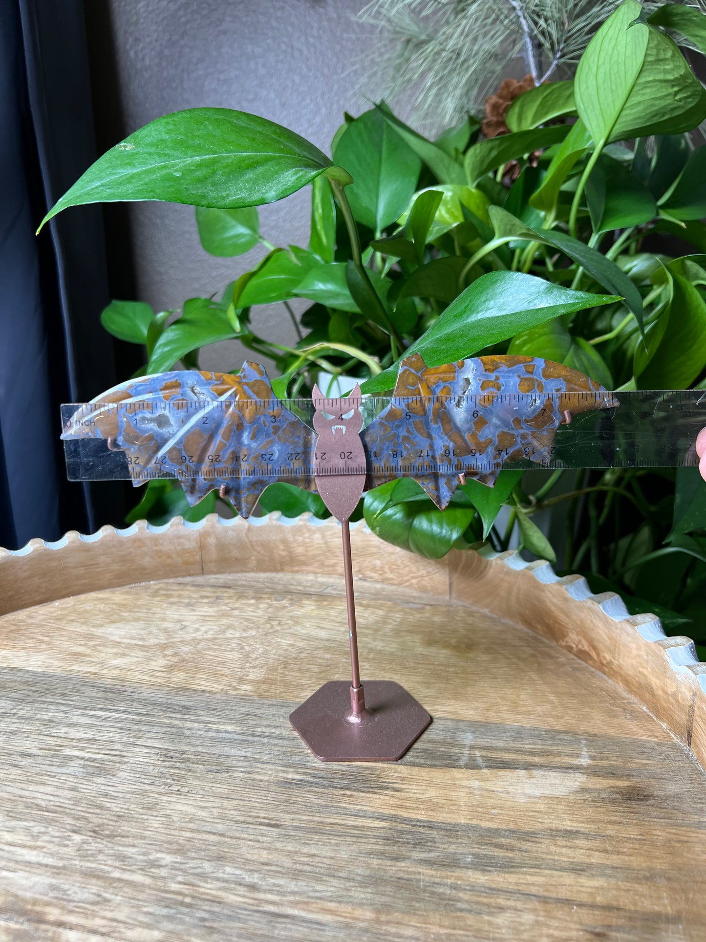 Brecciated Jasper Bat Wings
