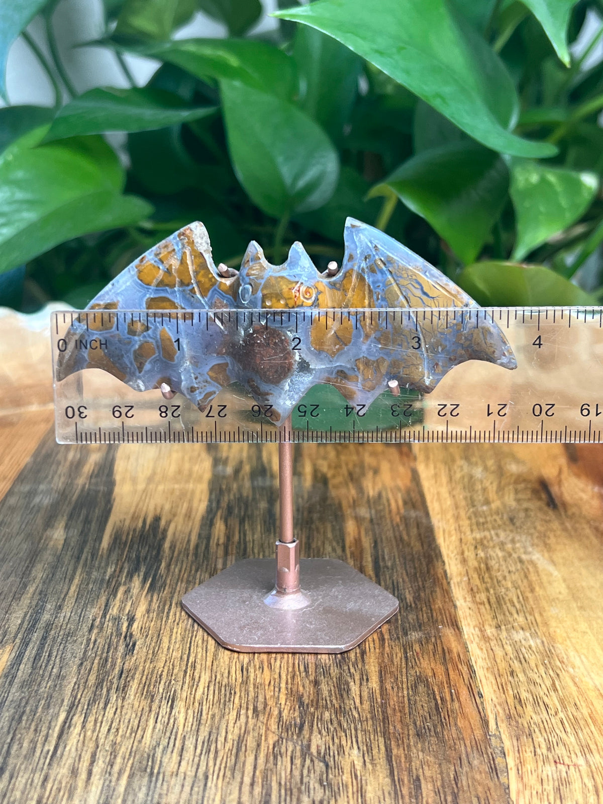 Brecciated Jasper Bat: RG
