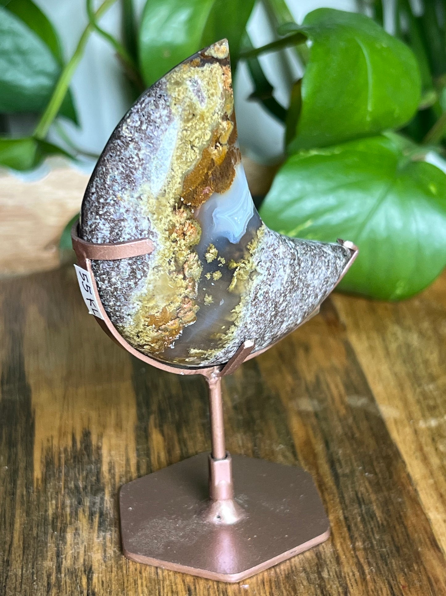Scenic Moss Agate Moon