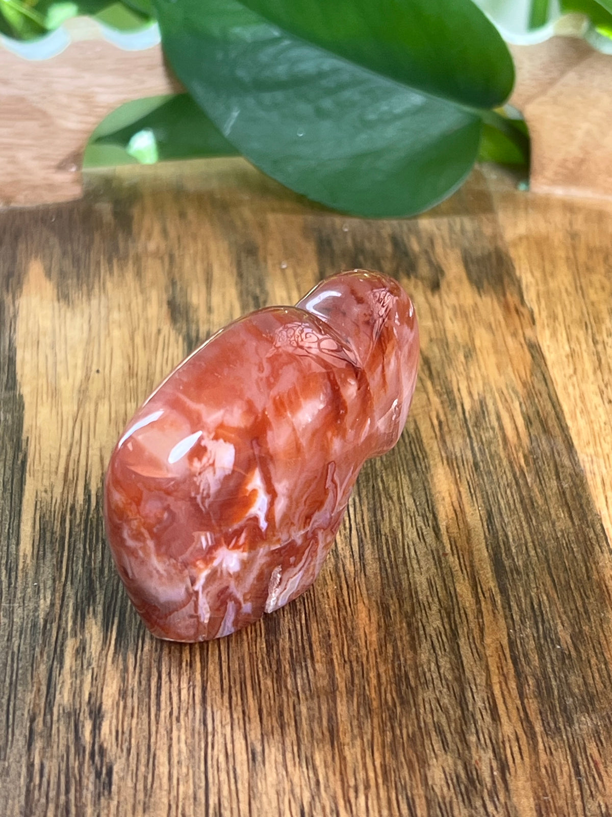 Carnelian Mini Buffalo: BC