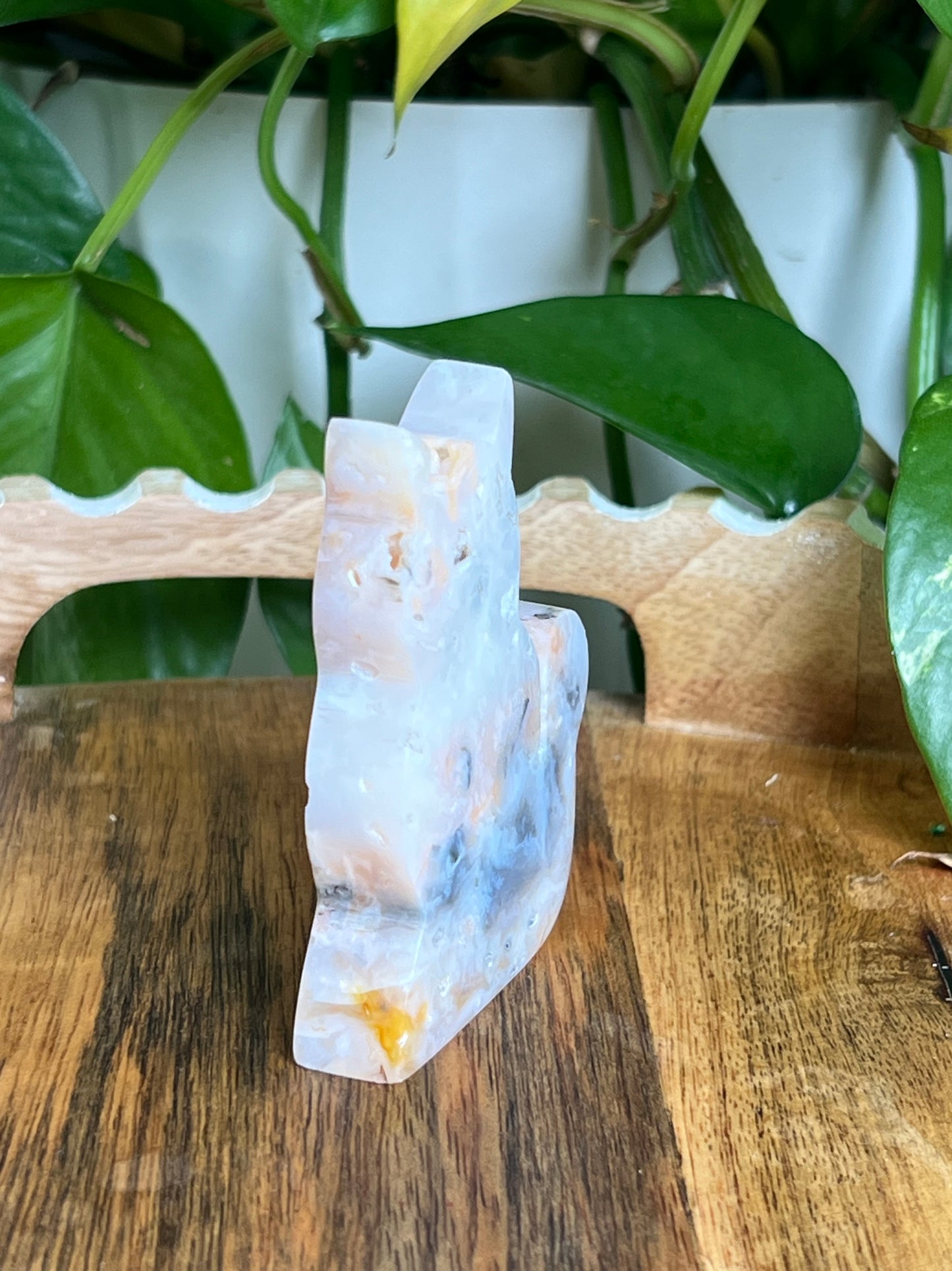 Rainbow Plume Agate Cat K