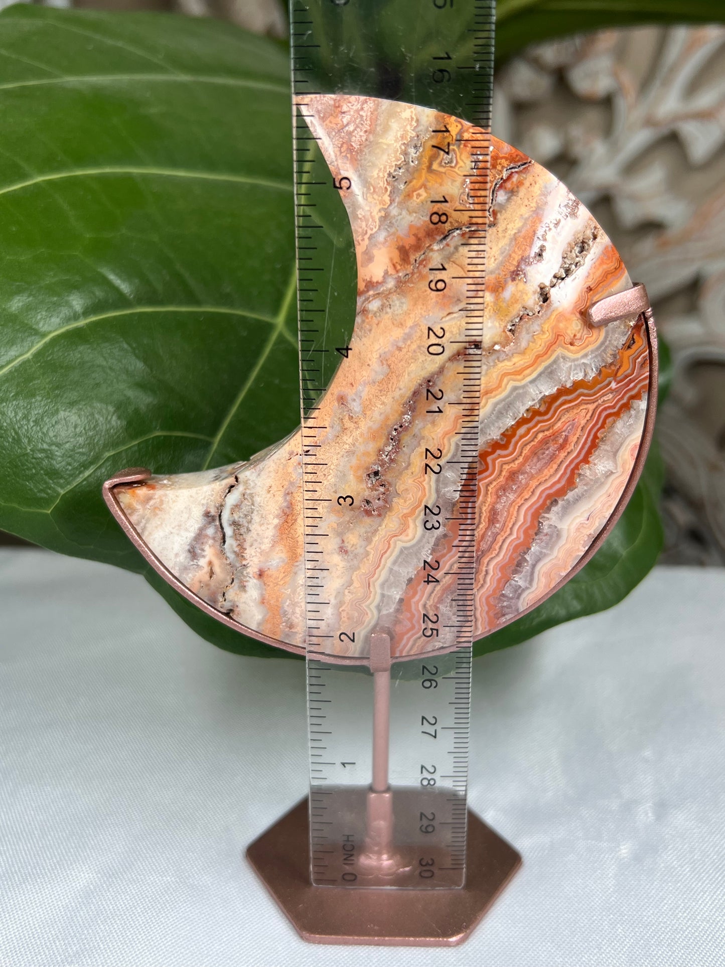 Crazy Lace Agate Moon
