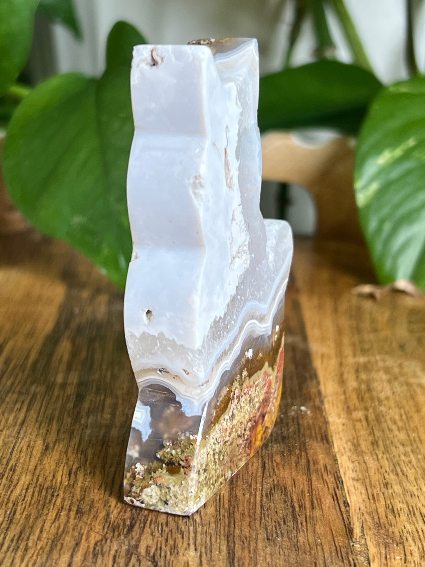 Scenic Moss Agate Cat HU