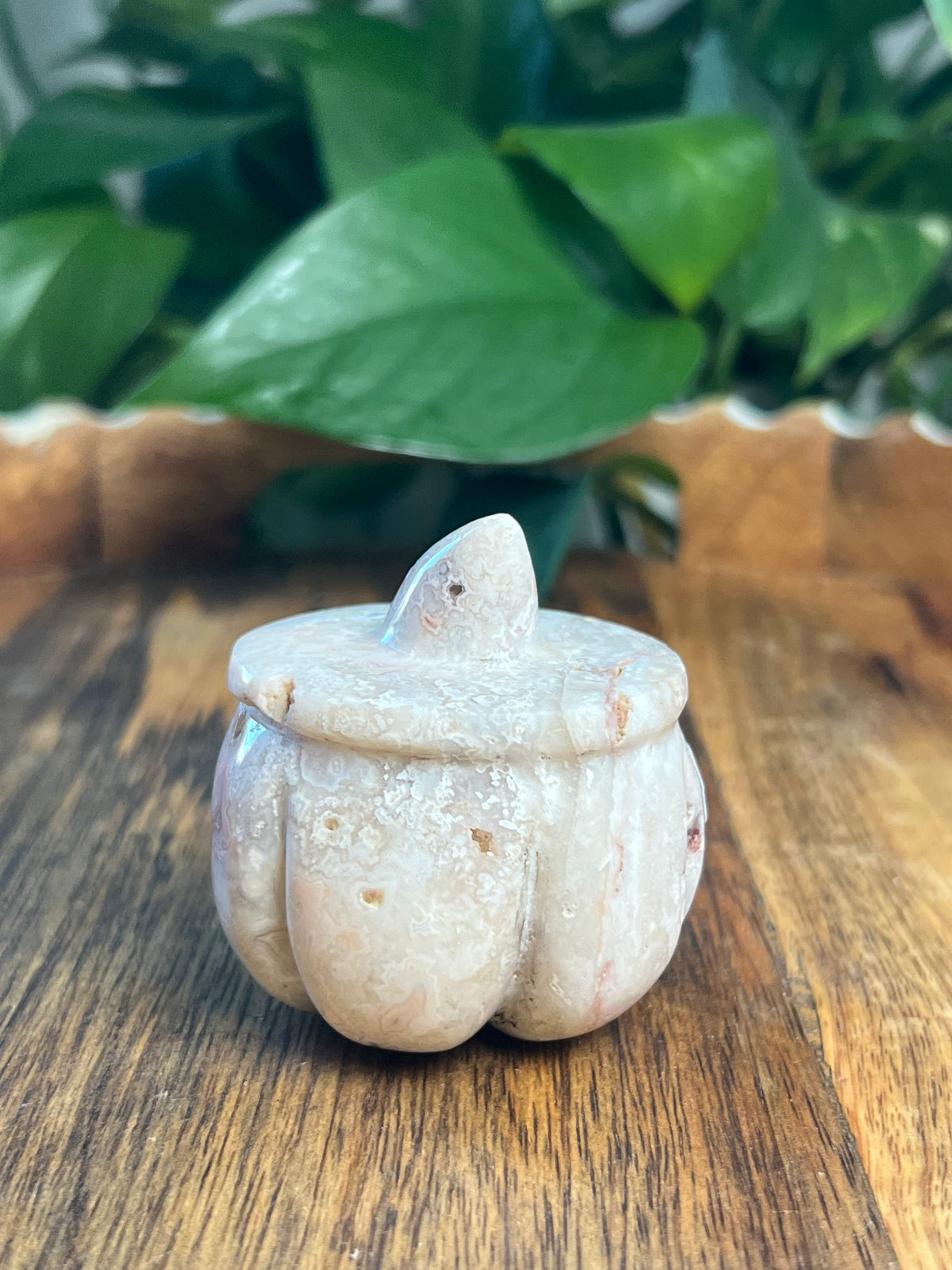 Crazy Lace Agate Pumpkin: D