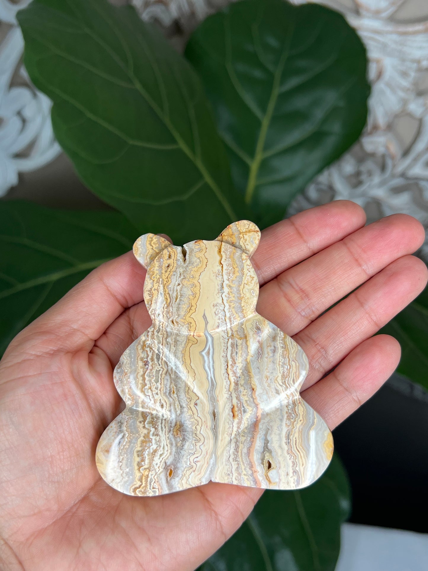 Crazy Lace Agate Bear