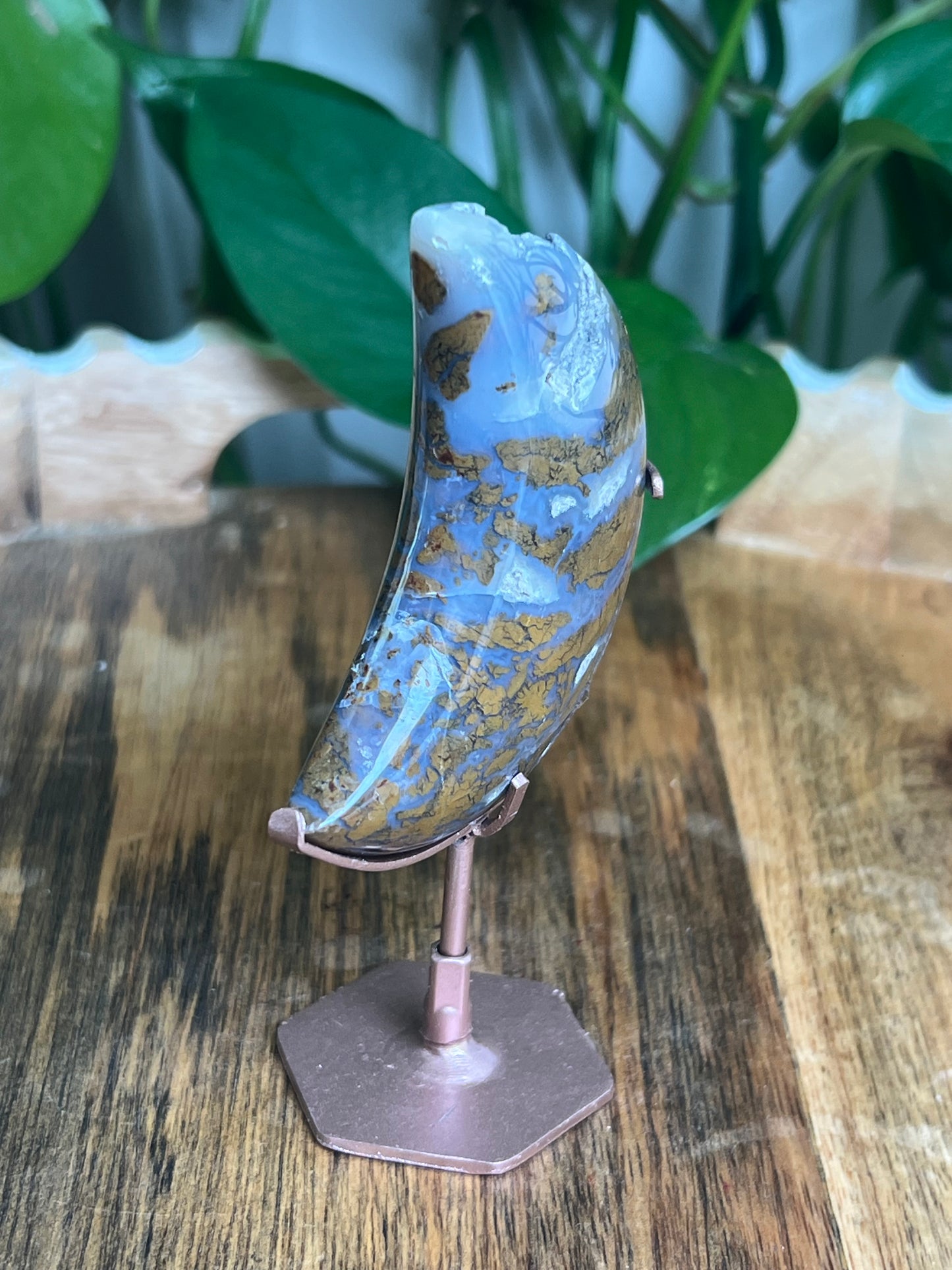 Brecciated Jasper Moon: BL