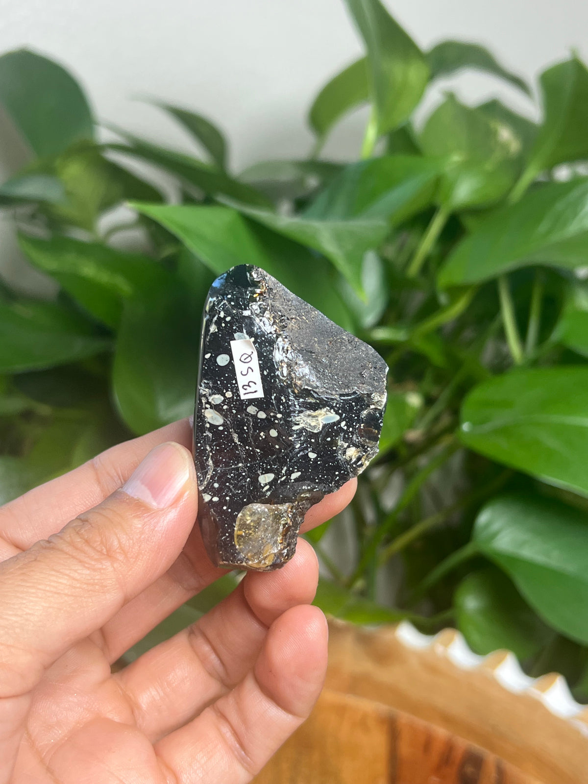 Blue Amber Freeform: SQ