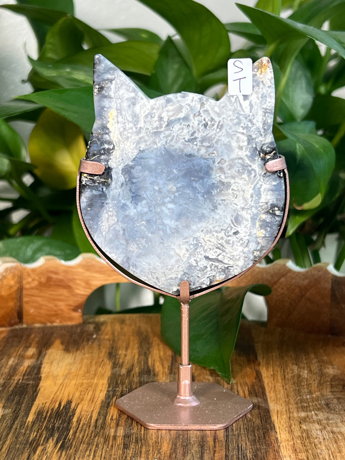 Blue Plume Agate Cat Heads