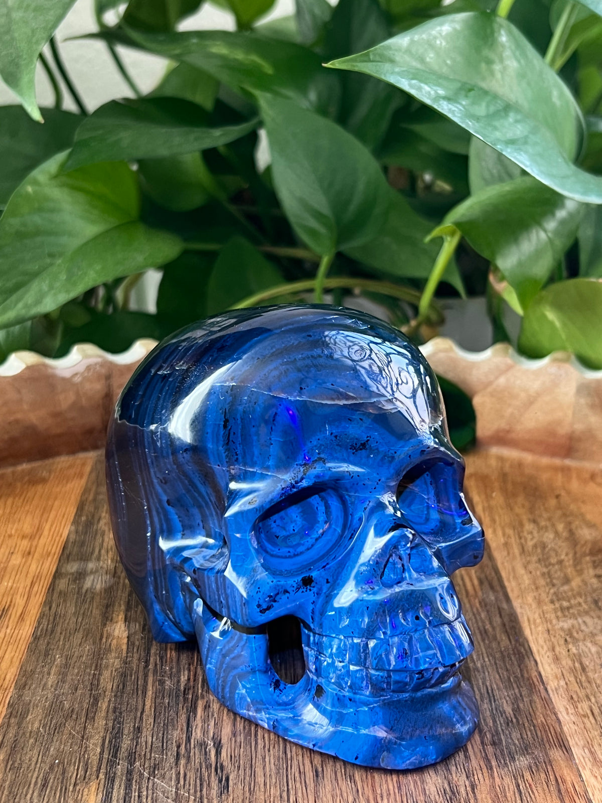 Blue Amber Skull: NX