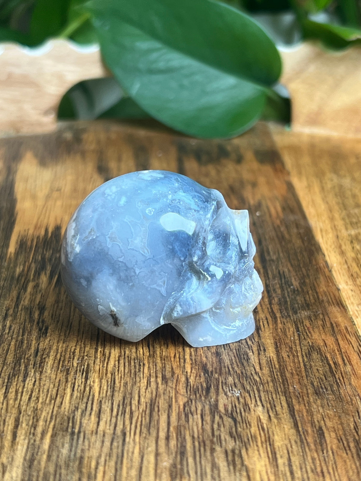 Blue Plume Agate Skull: H