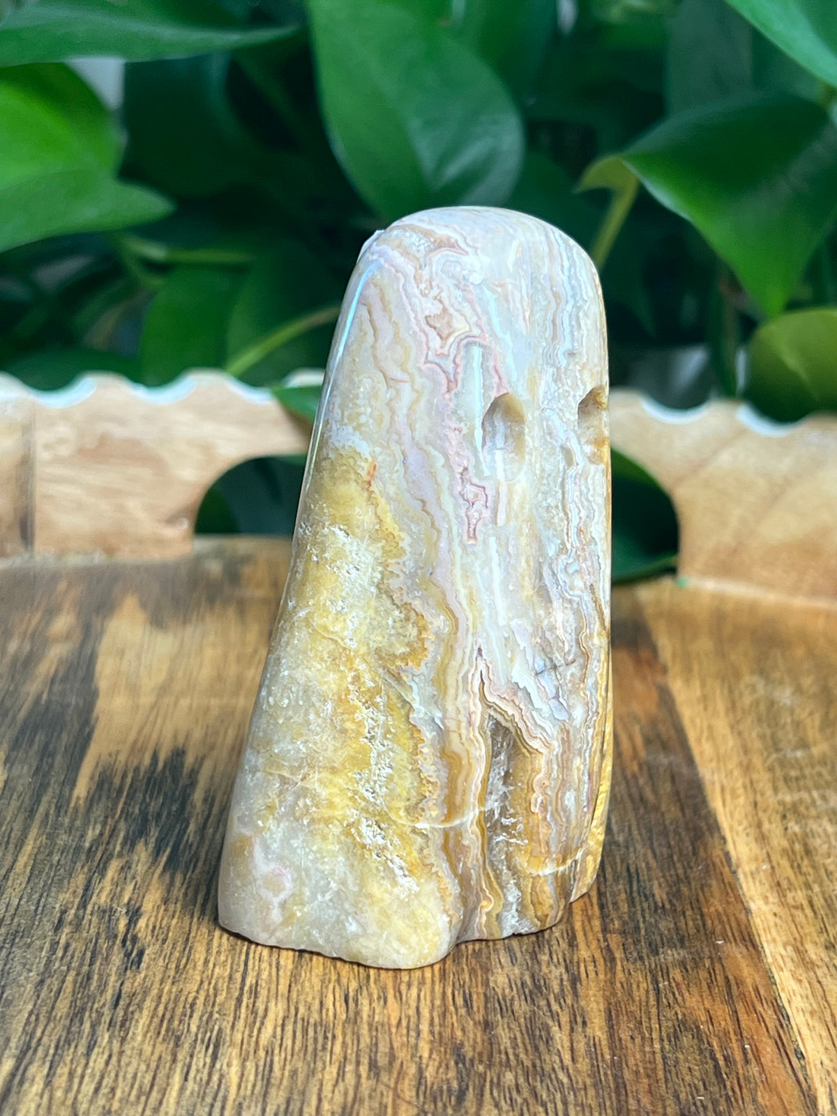 Crazy Lace Agate Ghost: P