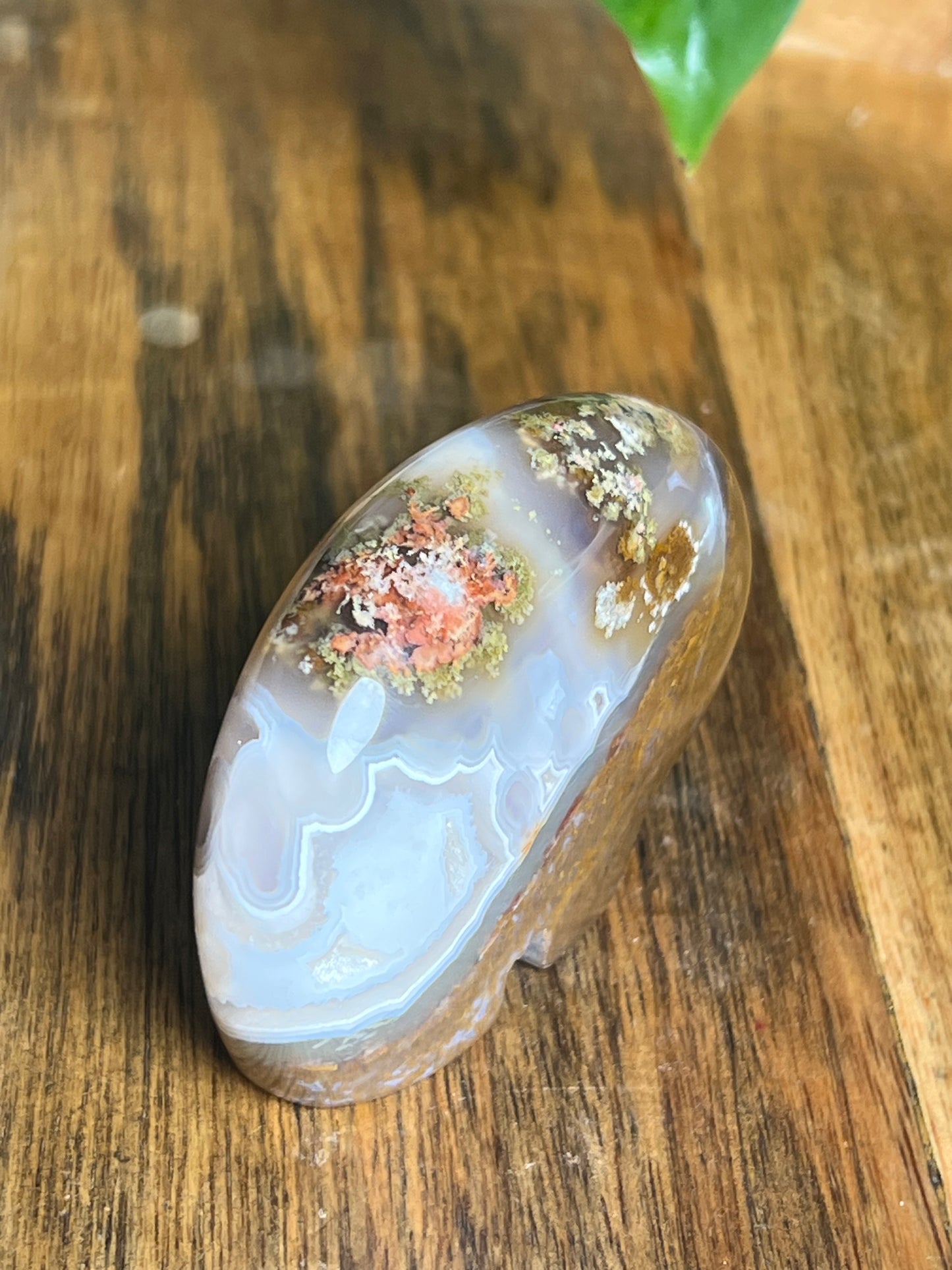 Scenic Moss Agate Bear HF