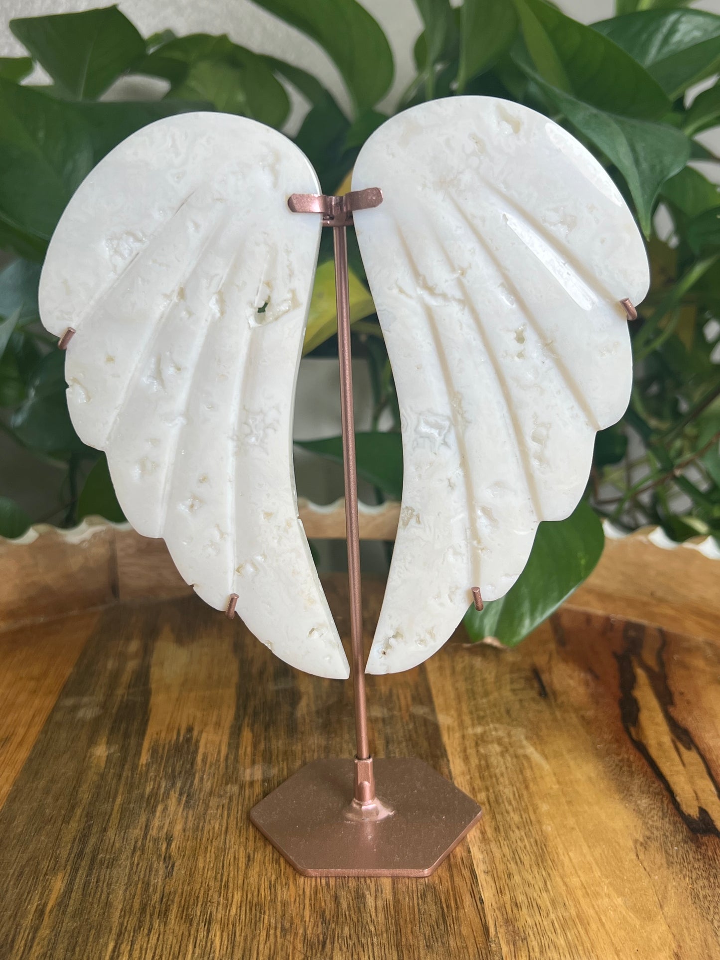 White Plume Agate Wings TB