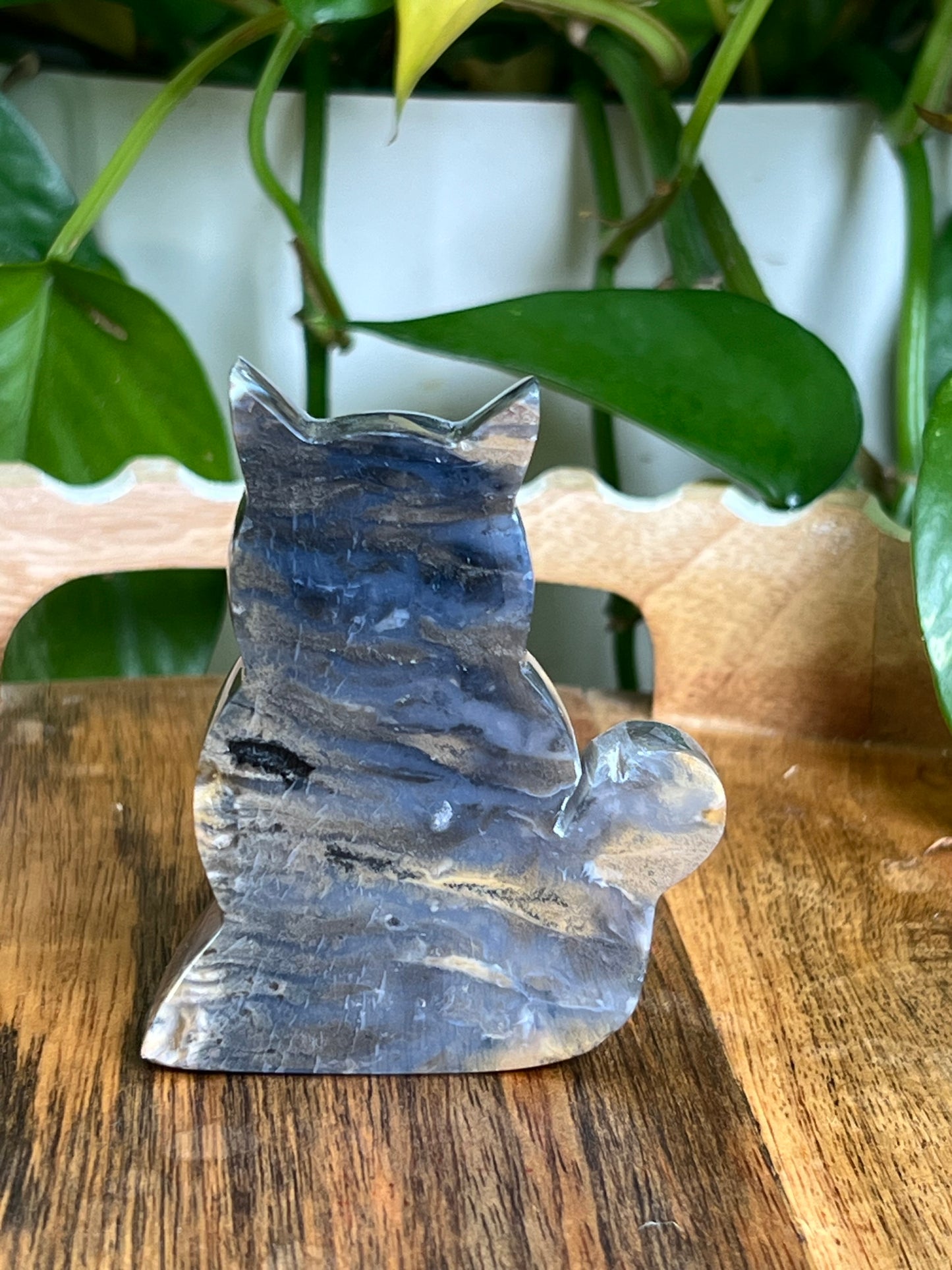 Dendritic Tiger Agate Cat AH