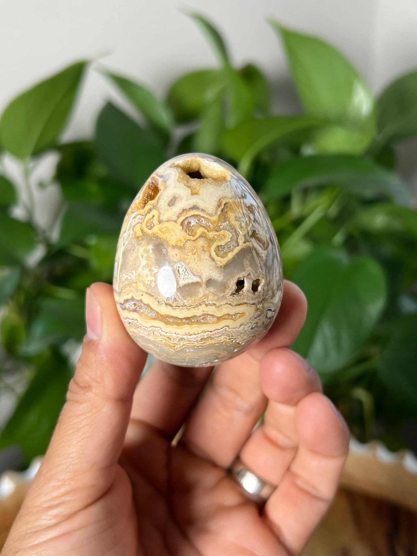 Crazy Lace Agate Egg