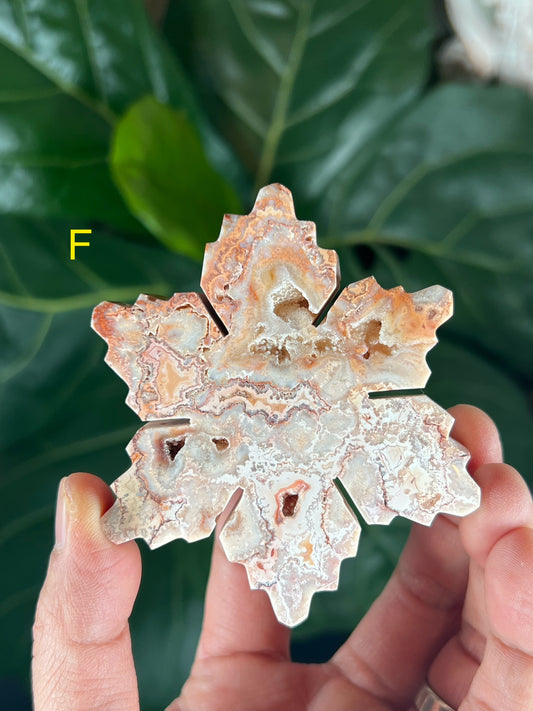 Crazy Lace Agate Snowflake: F
