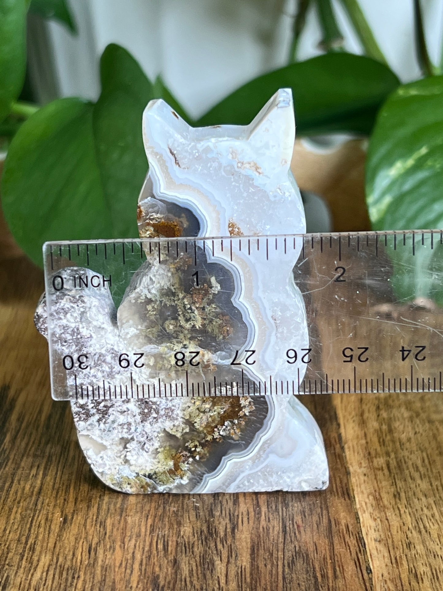 Scenic Moss Agate Cat HN