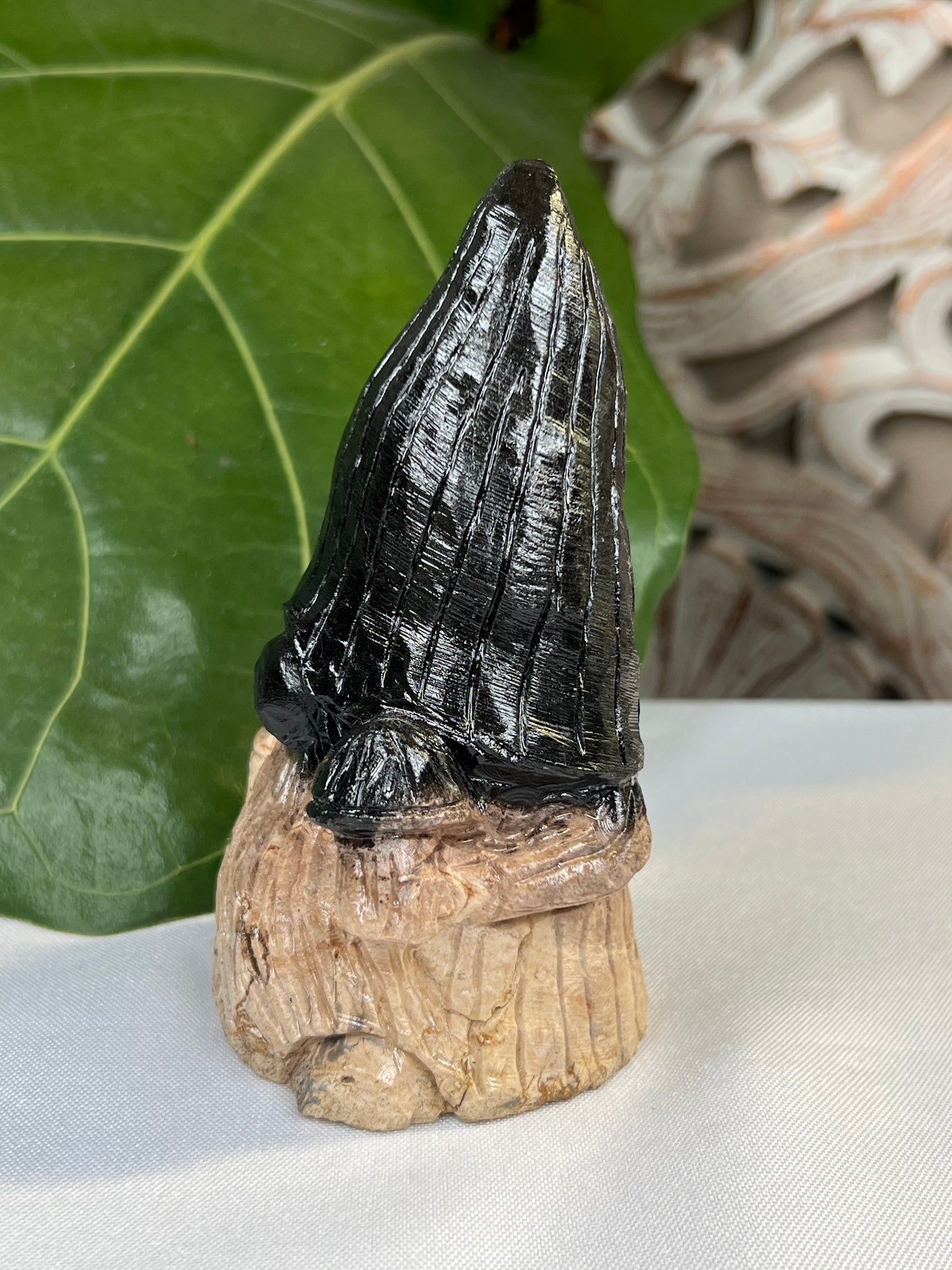 Palm Root Gnome