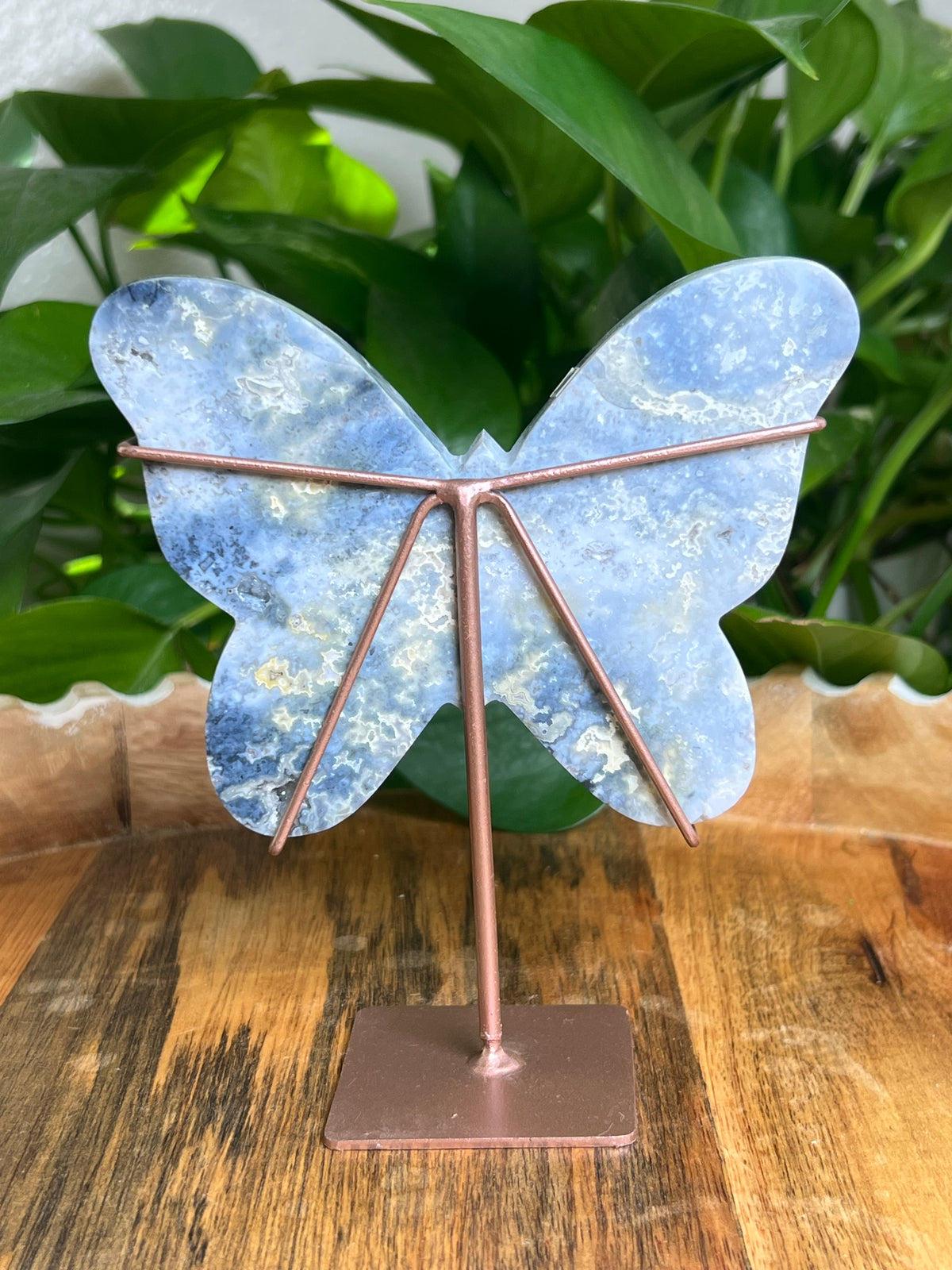 Blue Plume Agate Butterfly: Di