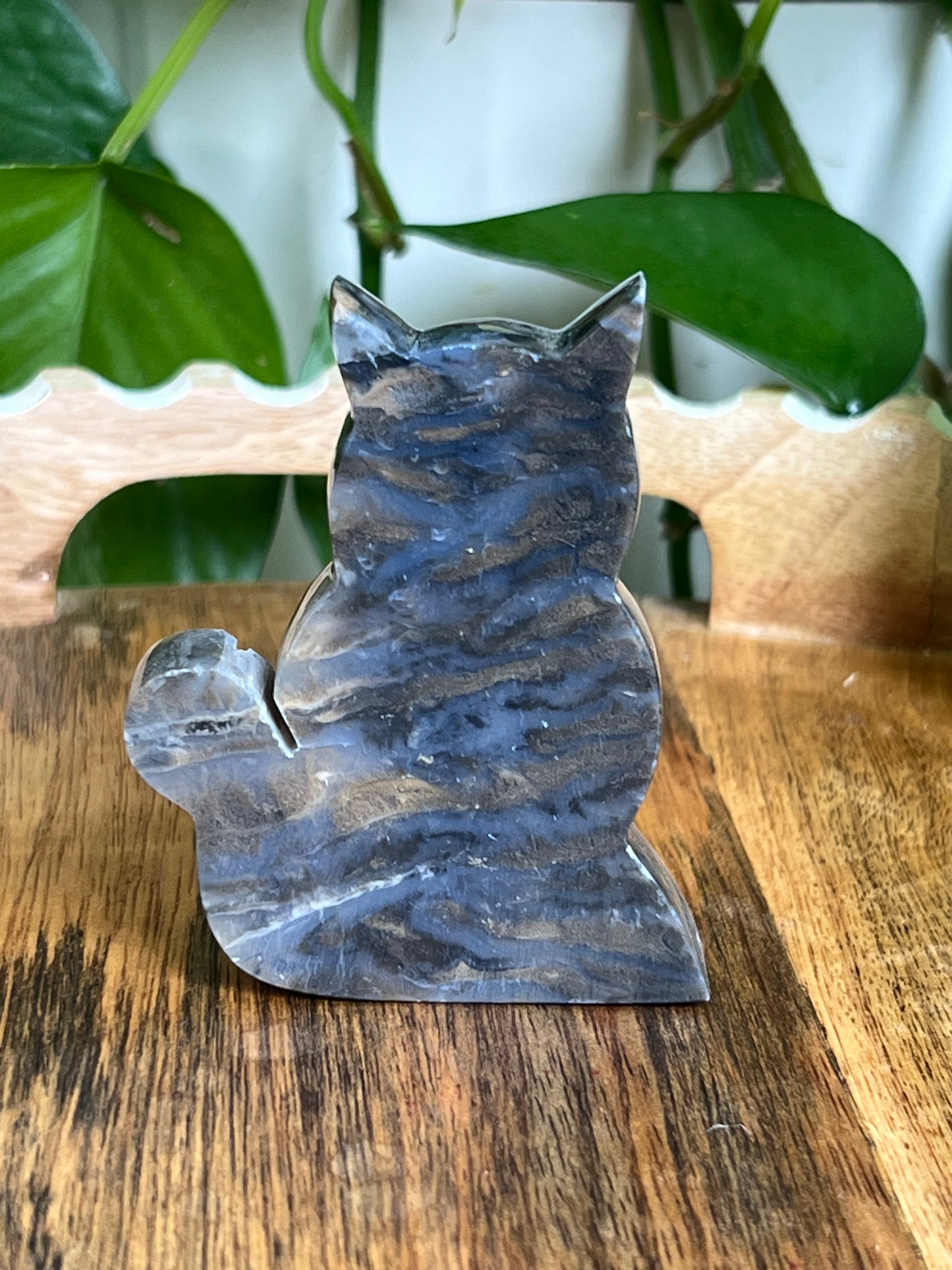 Dendritic Tiger Agate Cat AH