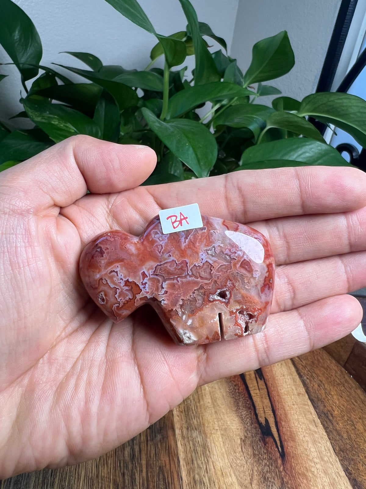Carnelian Mini Buffalos