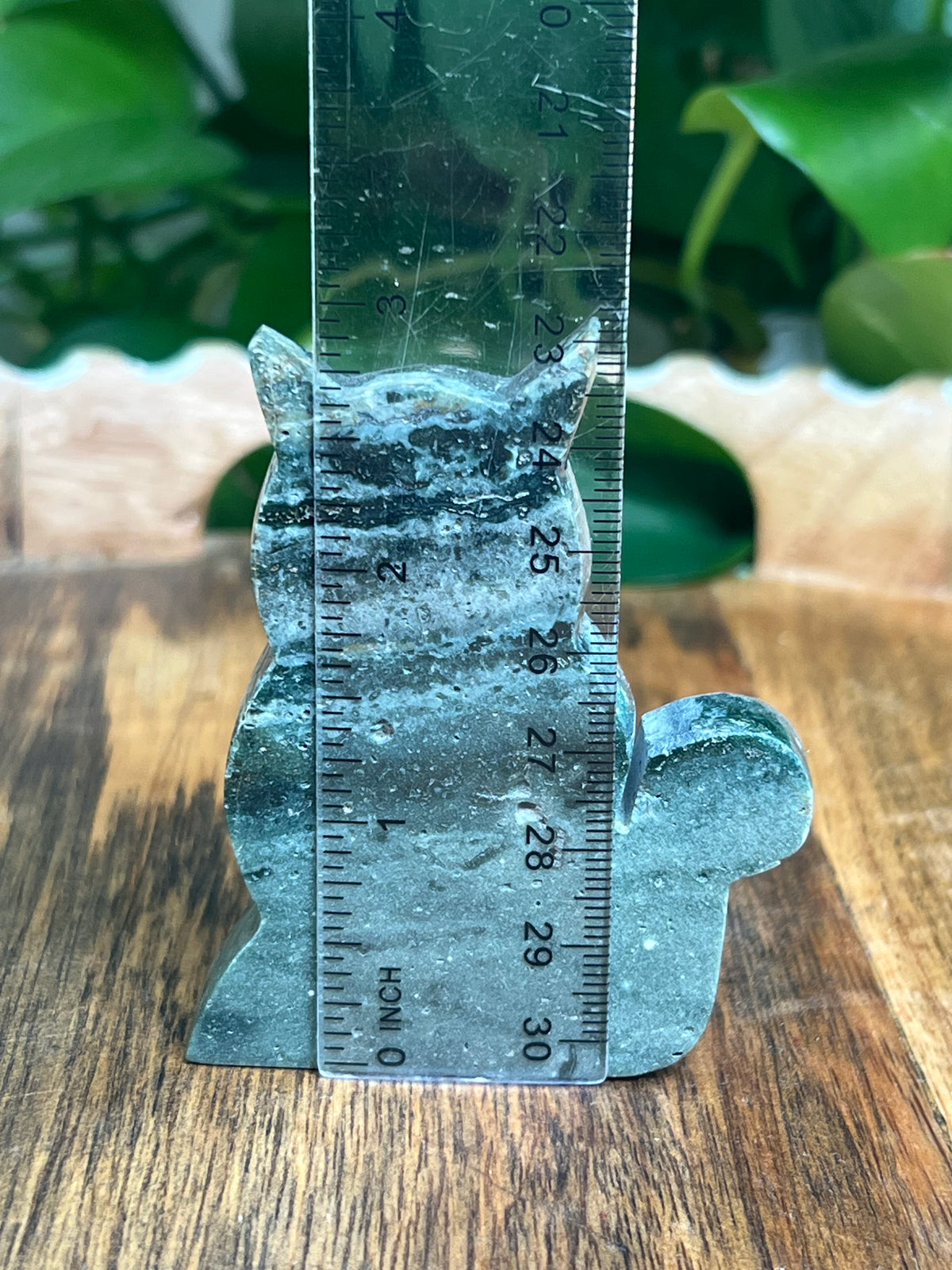 Blue Green Jasper Cat: HC