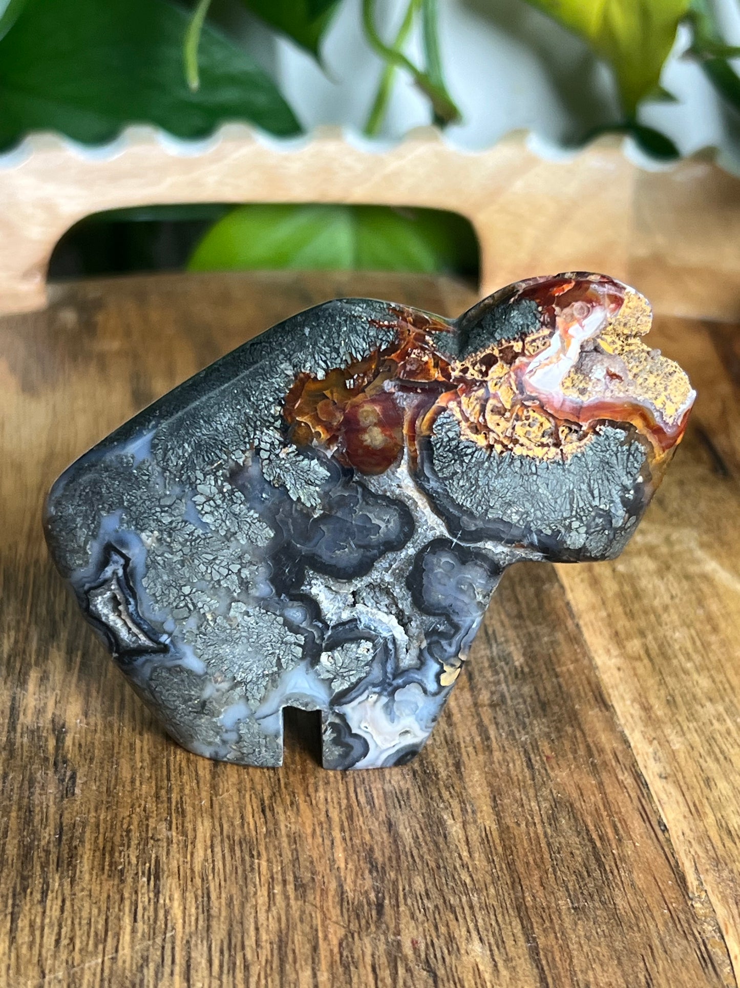 Marcasite Buffalo