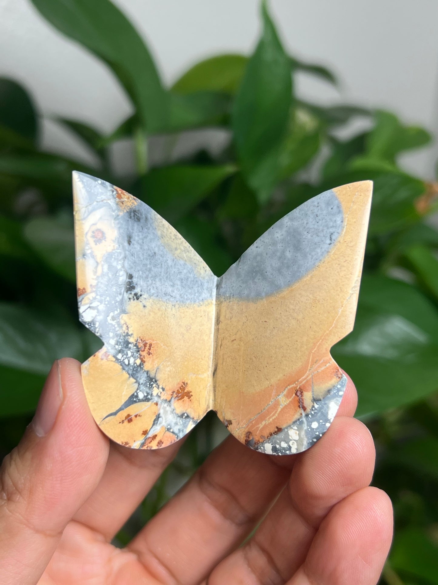 Maligano 3D Butterfly: BC