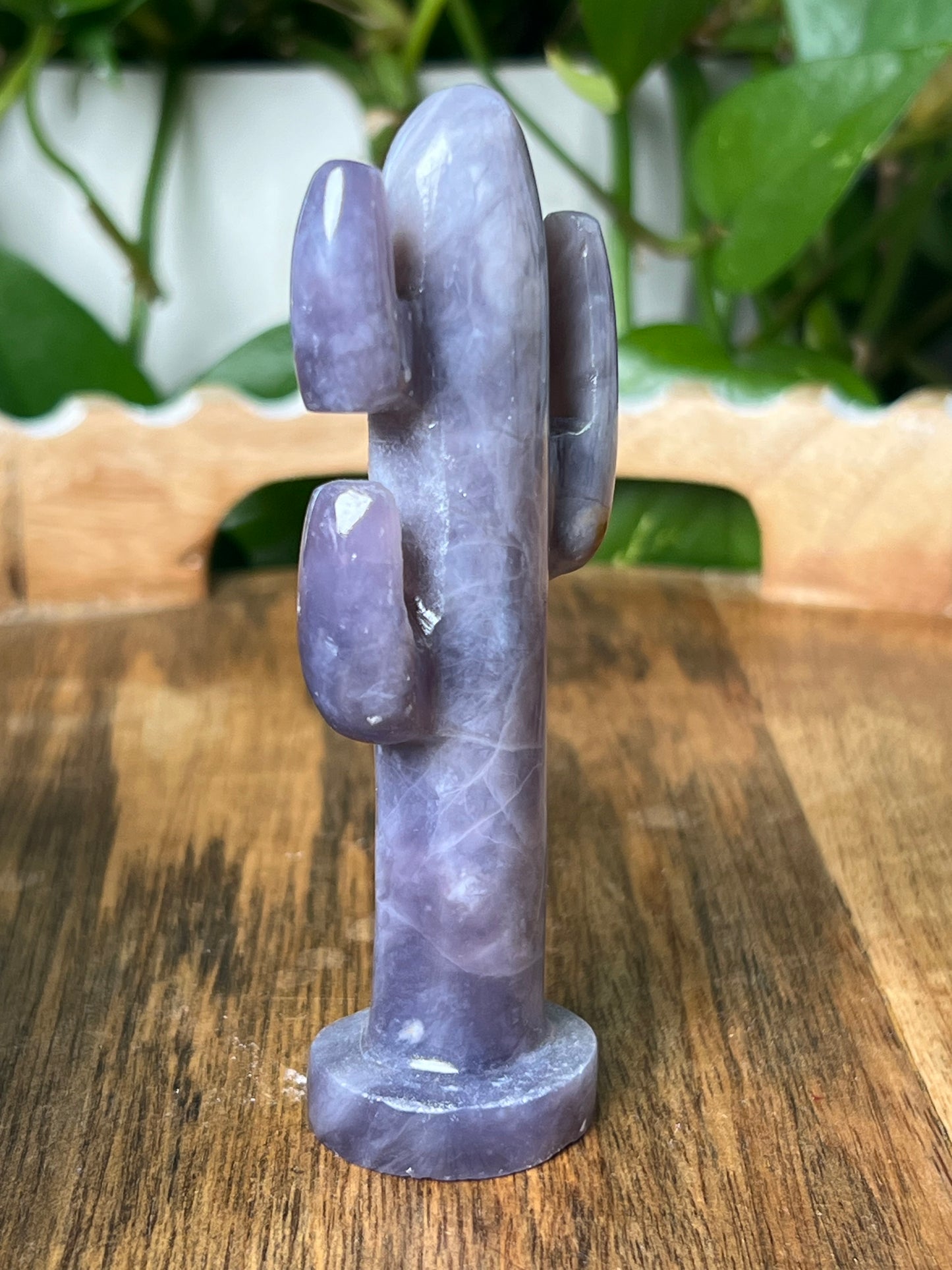 Purple Chalcedony Cactus