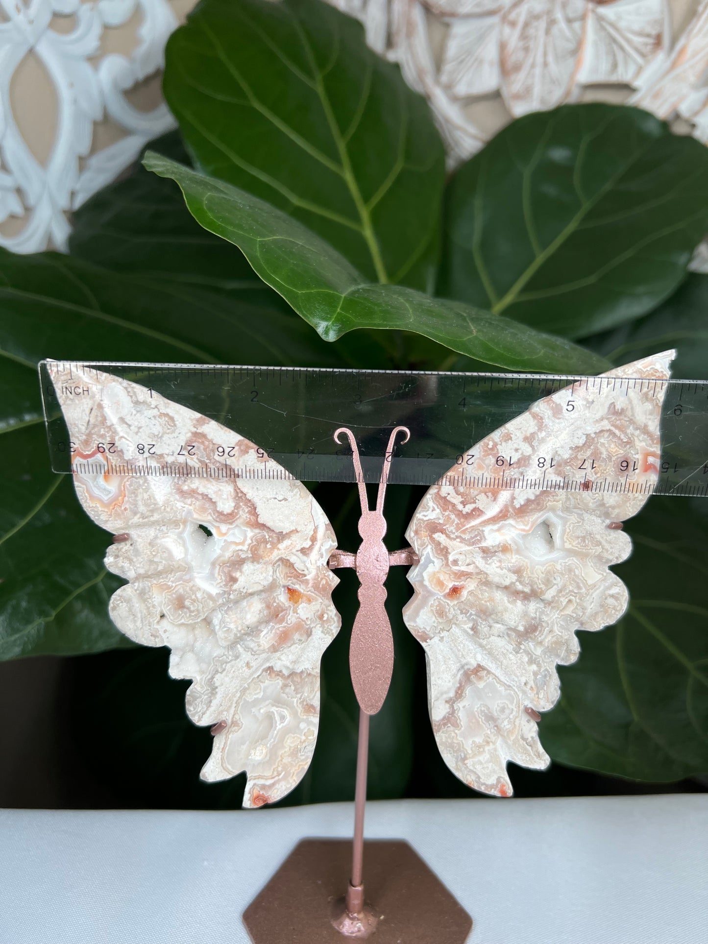Crazy Lace Agate Wings