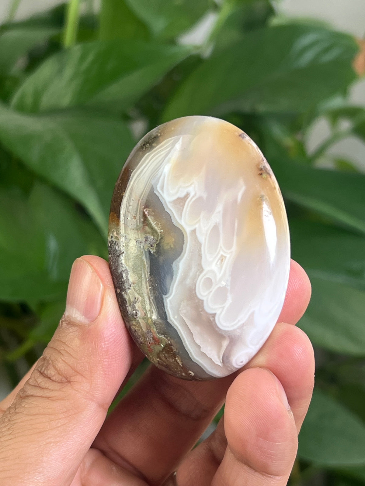 Scenic Moss Agate Palmstone: PD