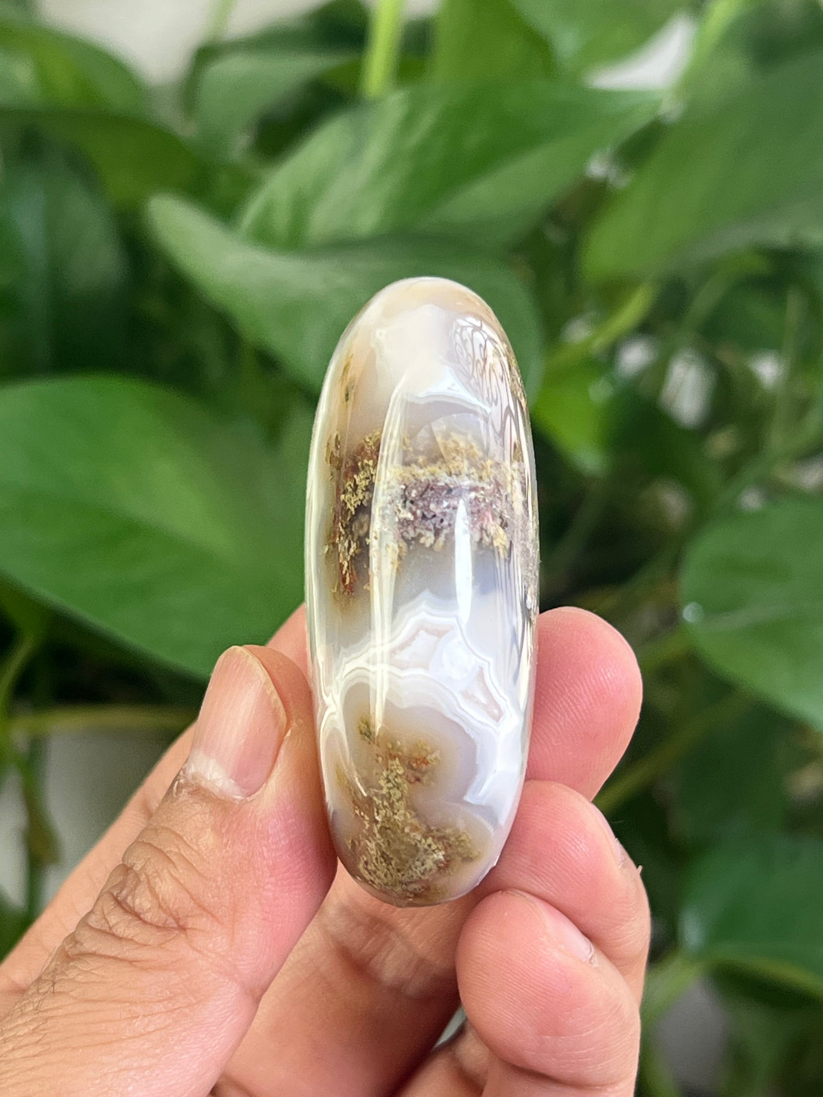 Scenic Moss Agate Palmstone: RG