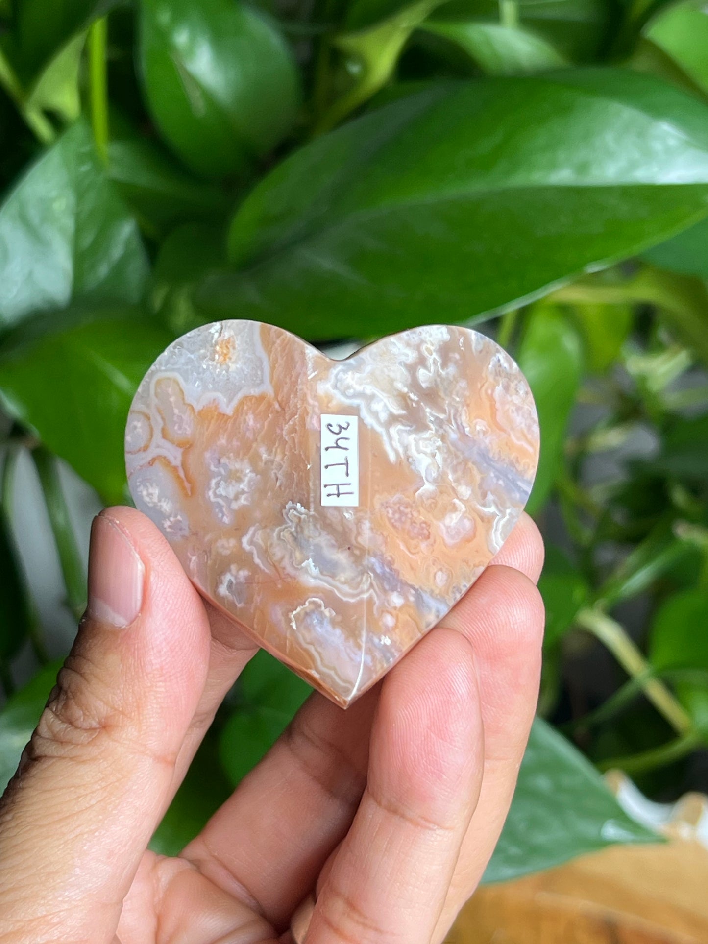 Flower Carnelian 3D Butterfly: TH