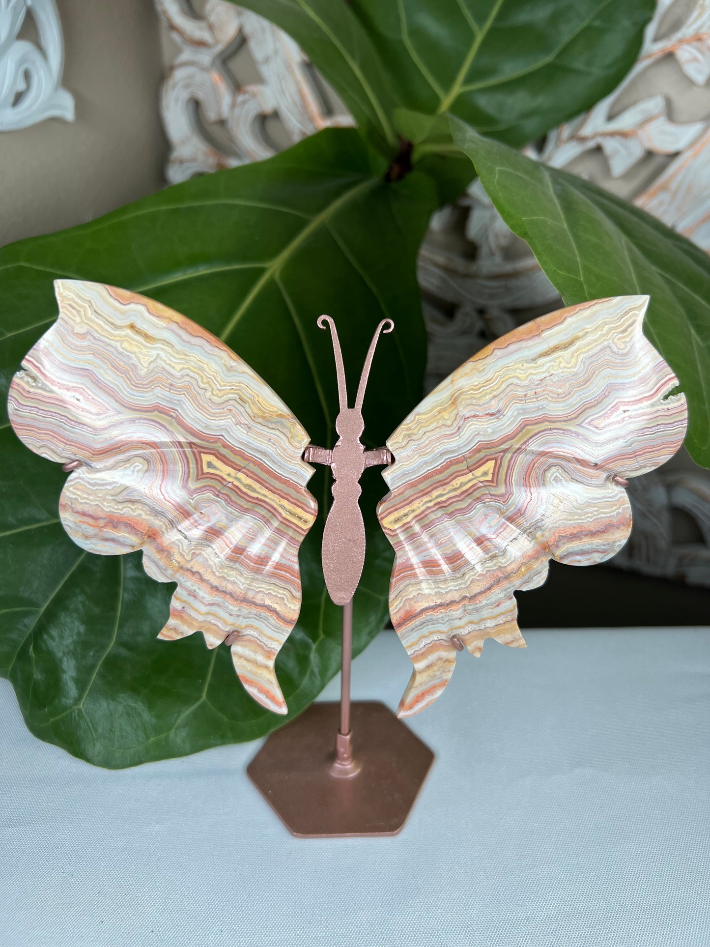 Crazy Lace Agate Wings