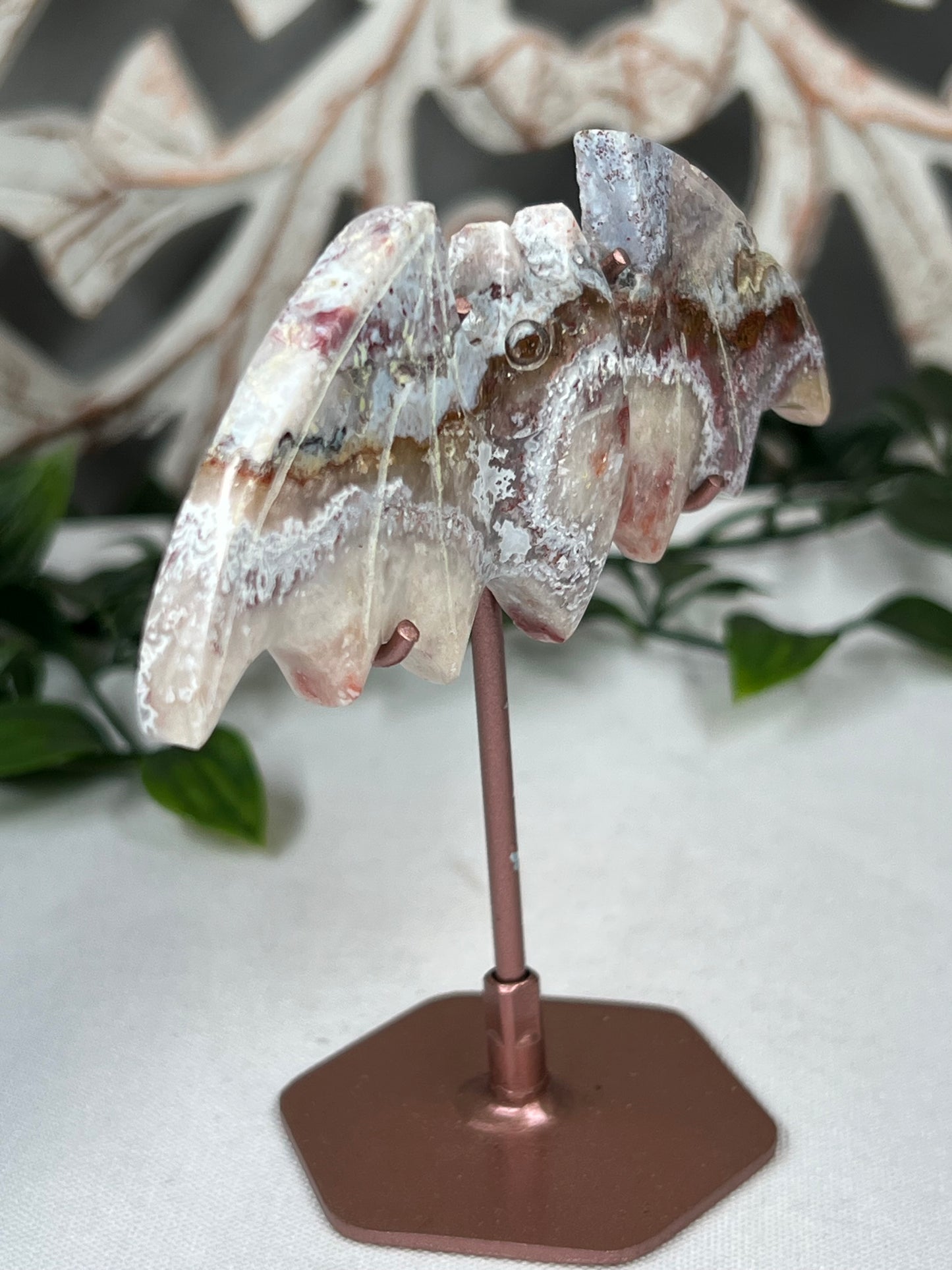 Sumatra Agate Bat