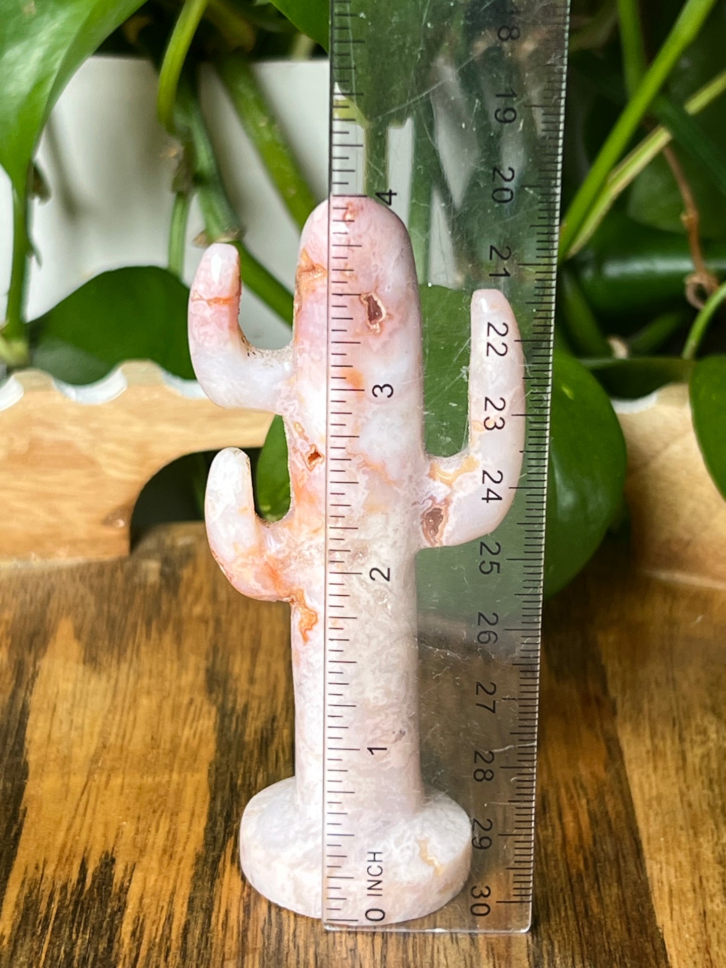 Pink Carnelian Cactus